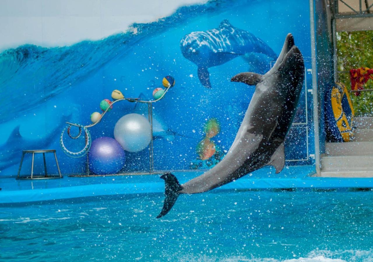 Moevenpick Hotel Apartments Al Mamzar Dubaj Exteriér fotografie Dolphin show at the park